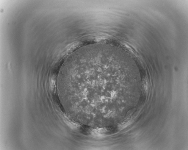 X0000087060527200704251032