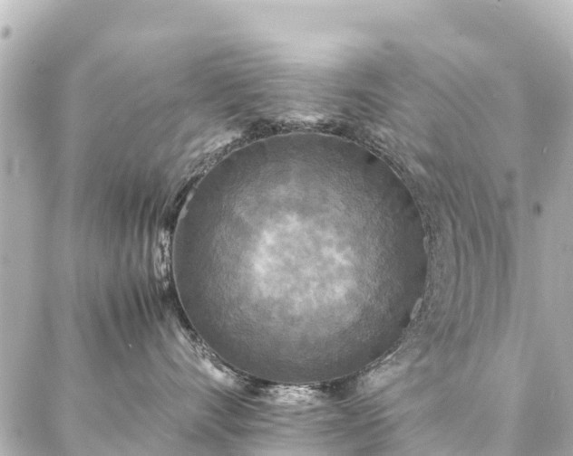 X0000087060528200704251032