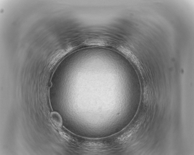 X0000087060529200704251031