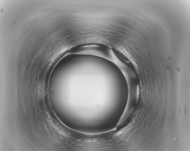 X0000087060530200704251031