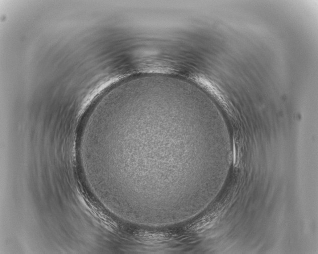 X0000087060531200704251031