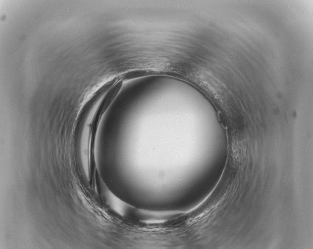 X0000087060532200704251031