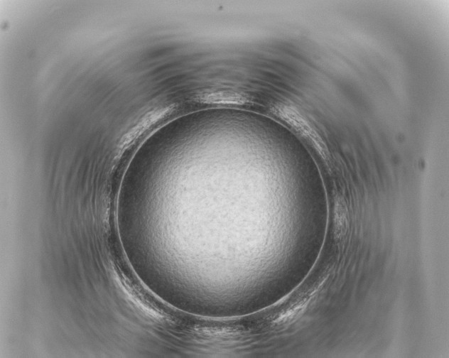 X0000087060533200704251031