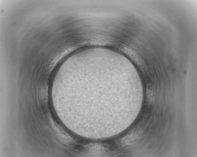 X0000087060534200704251031