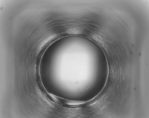 X0000087060535200704251031