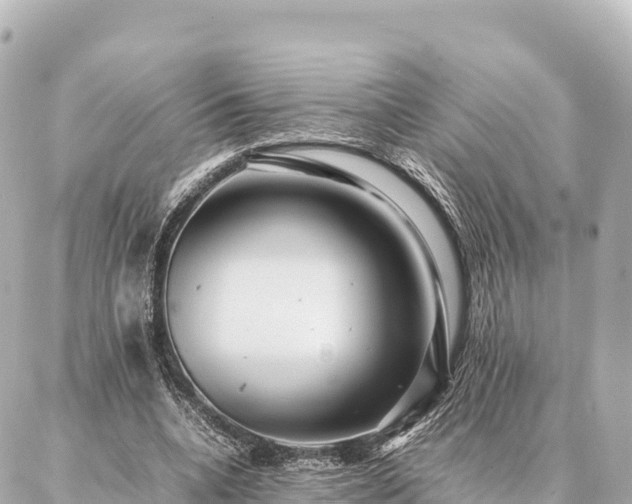 X0000087060536200704251031