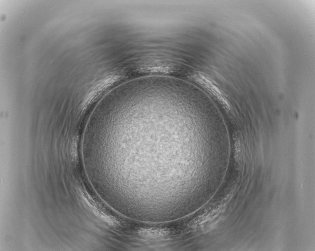 X0000087060537200704251031