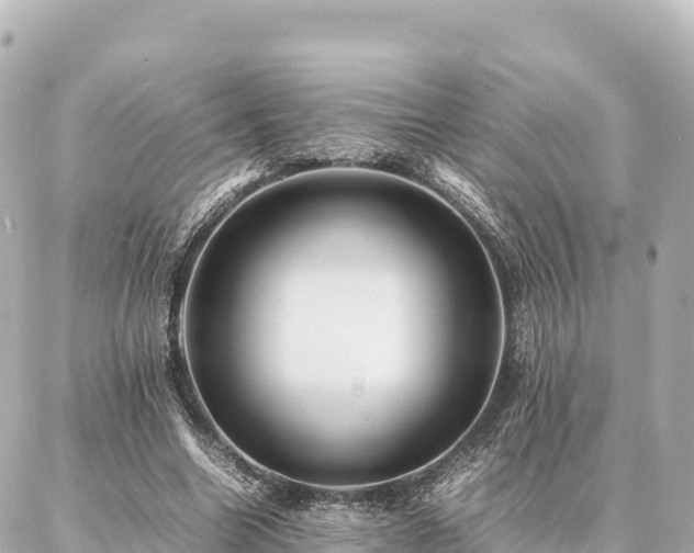 X0000087060538200704251031