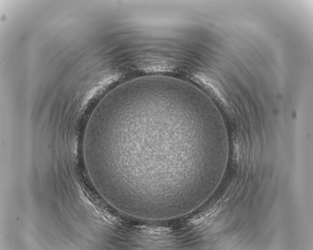 X0000087060539200704251031