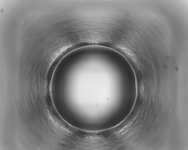 X0000087060540200704251031