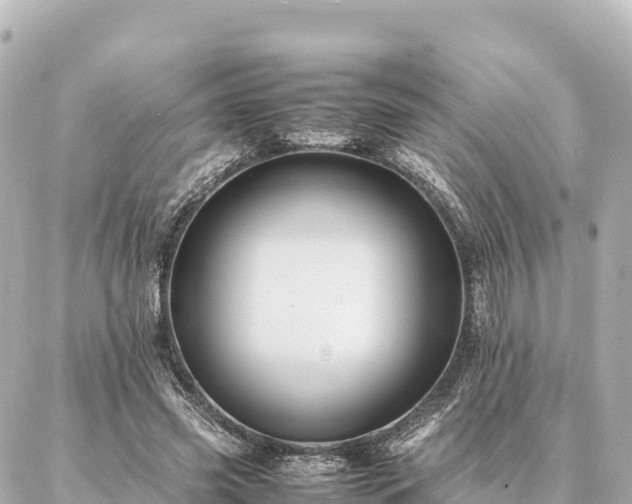 X0000087060541200704251032