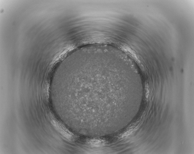 X0000087060542200704251032