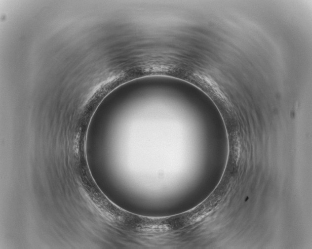 X0000087060543200704251032