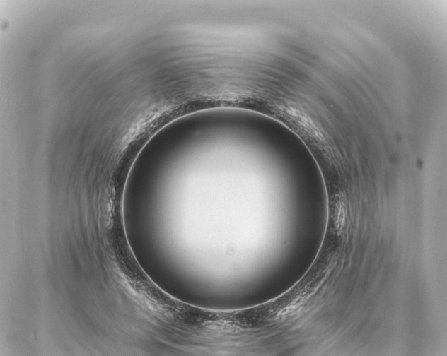 X0000087060544200704251032