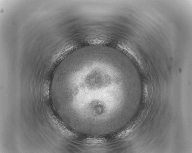 X0000087060545200704251032