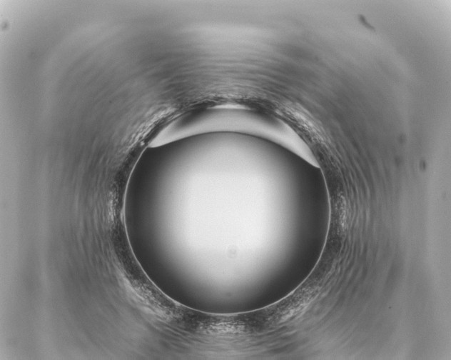 X0000087060546200704251032