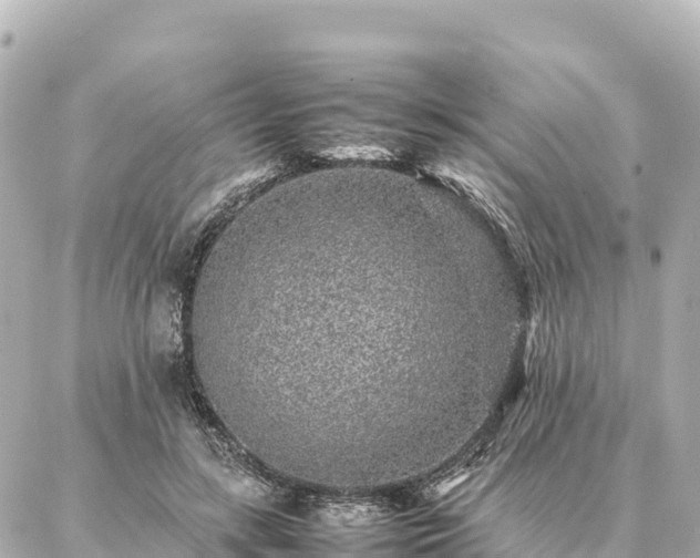 X0000087060547200704251032