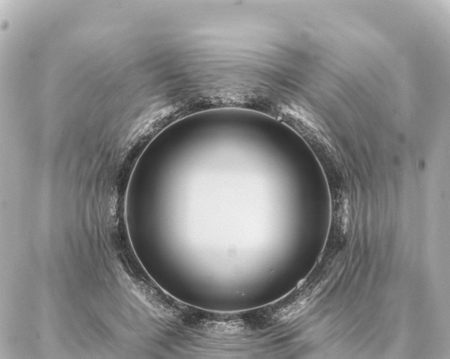 X0000087060548200704251032