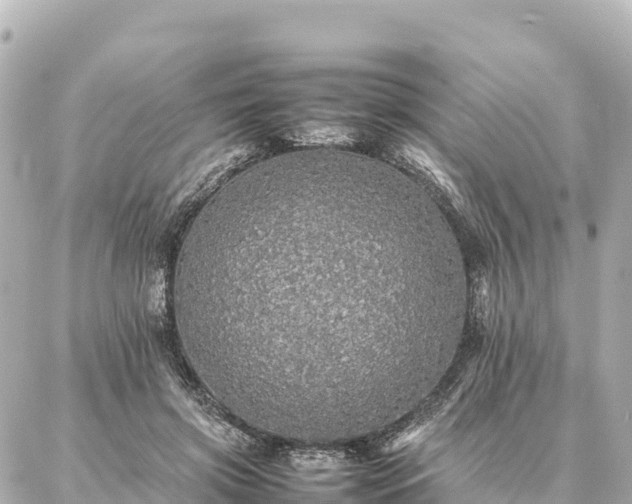 X0000087060549200704251032