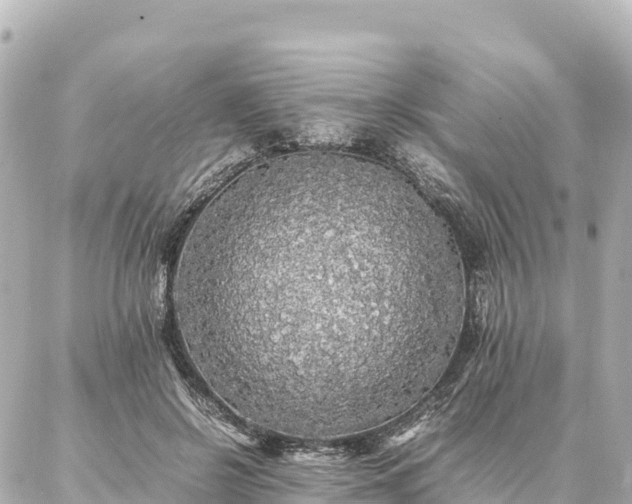 X0000087060550200704251032