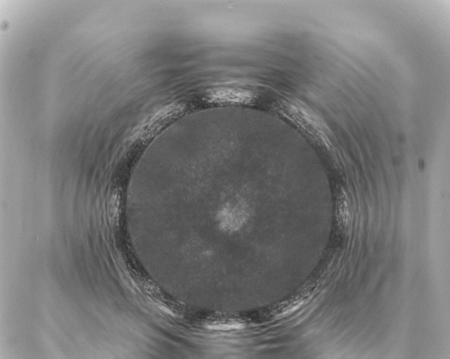 X0000087060551200704251032