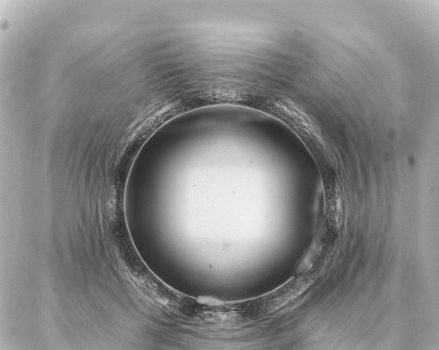 X0000087060552200704251032