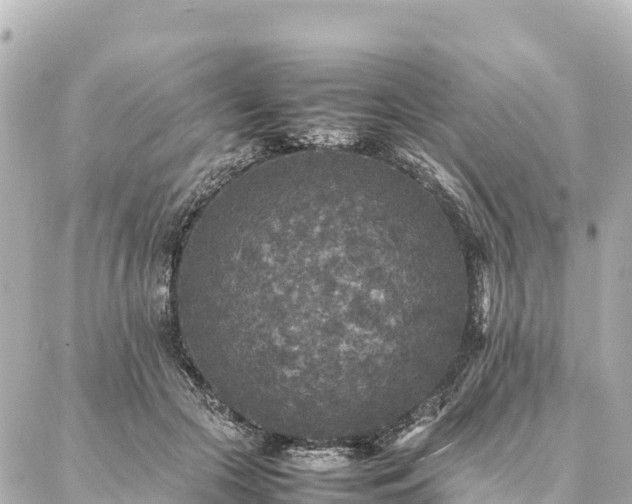 X0000087060553200704251032