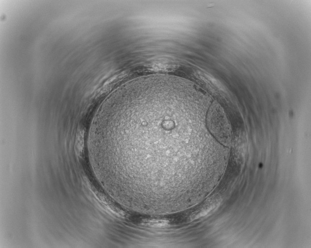 X0000087060554200704251032