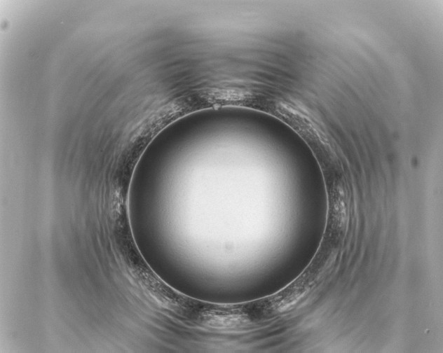 X0000087060555200704251032