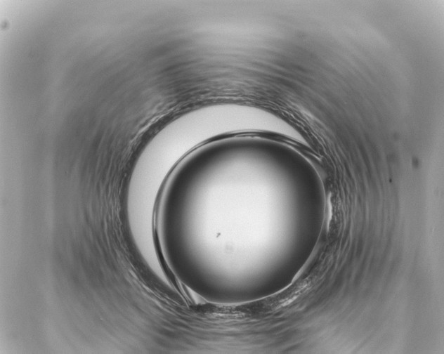 X0000087060556200704251032