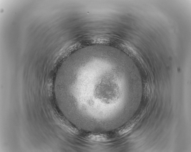 X0000087060557200704251032