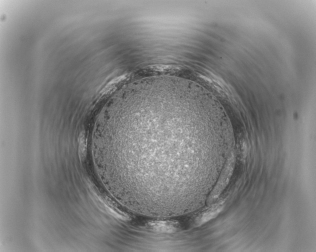 X0000087060558200704251032