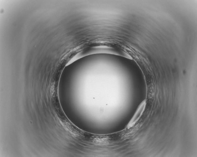 X0000087060560200704251032