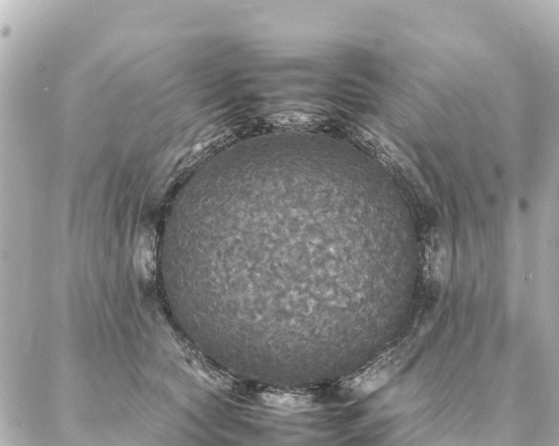 X0000087060561200704251032