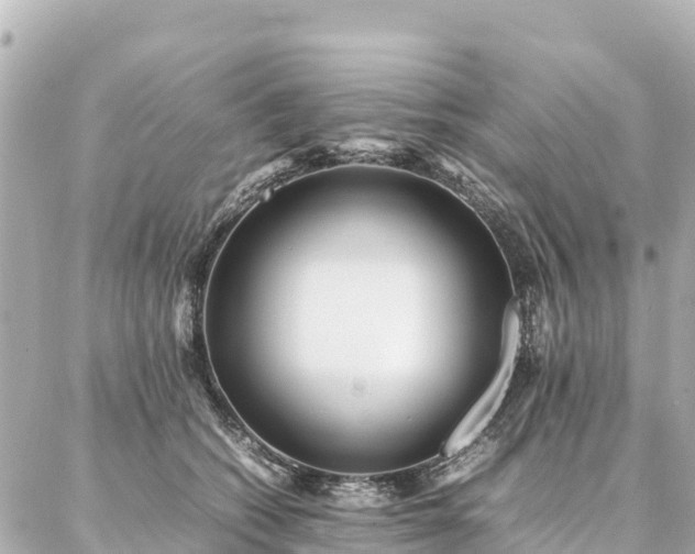 X0000087060562200704251032