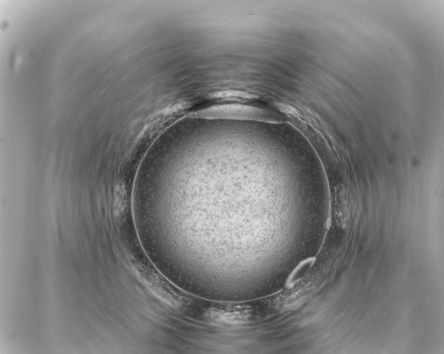 X0000087060563200704251032