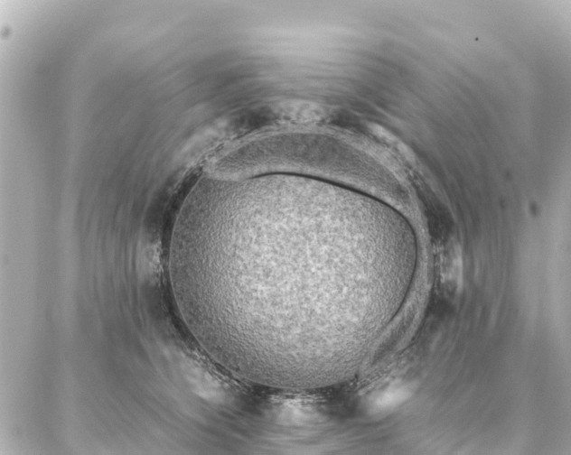 X0000087060564200704251032