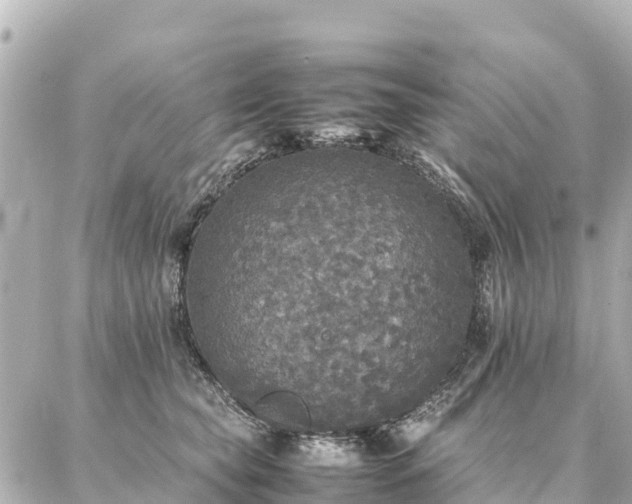 X0000087060565200704251032