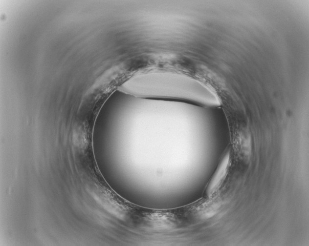 X0000087060566200704251032