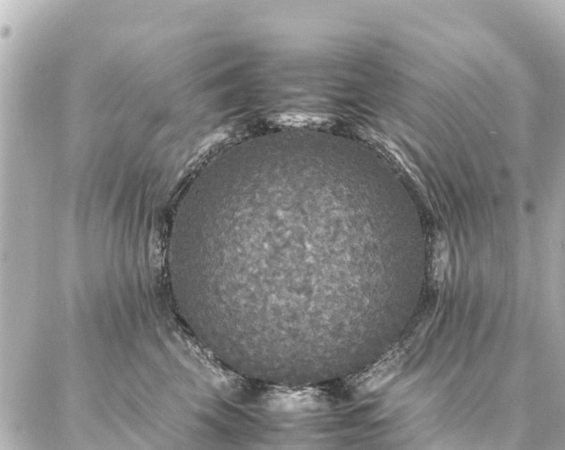 X0000087060569200704251032