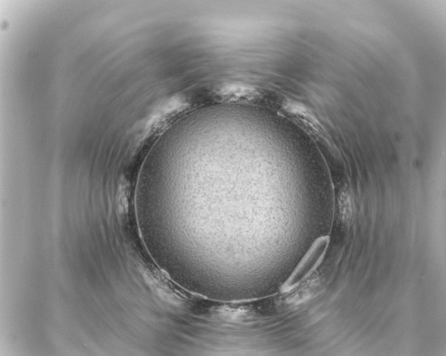 X0000087060570200704251032