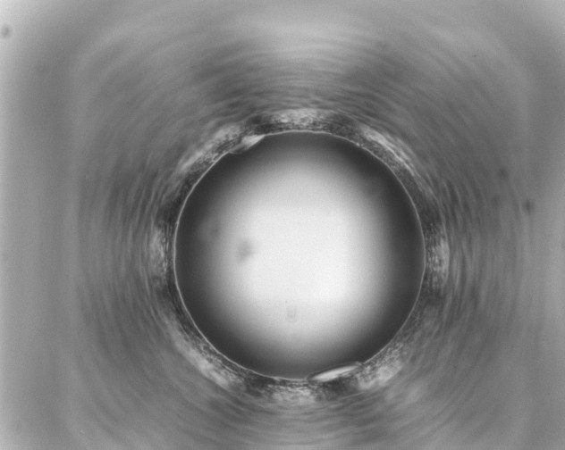 X0000087060572200704251032