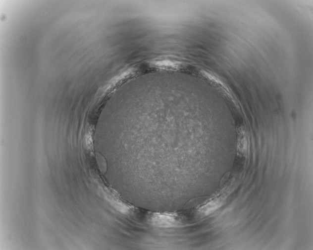 X0000087060573200704251032