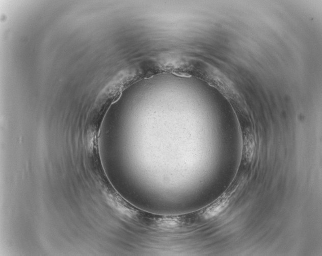 X0000087060574200704251032