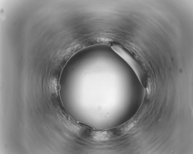 X0000087060575200704251032