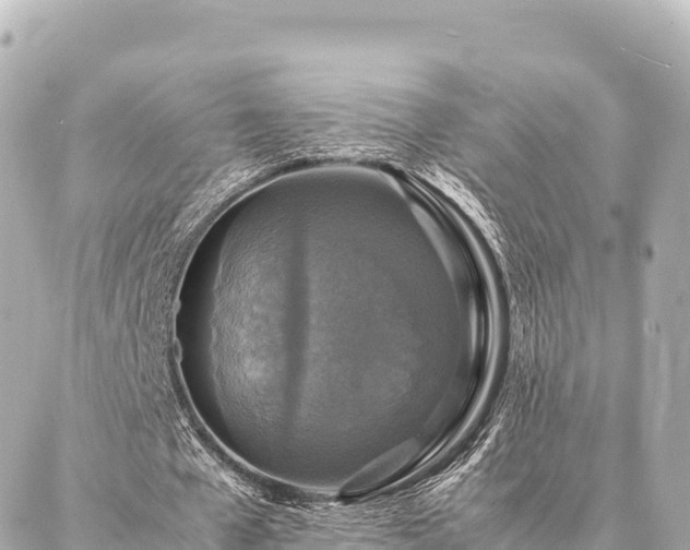 X0000087060577200704251031