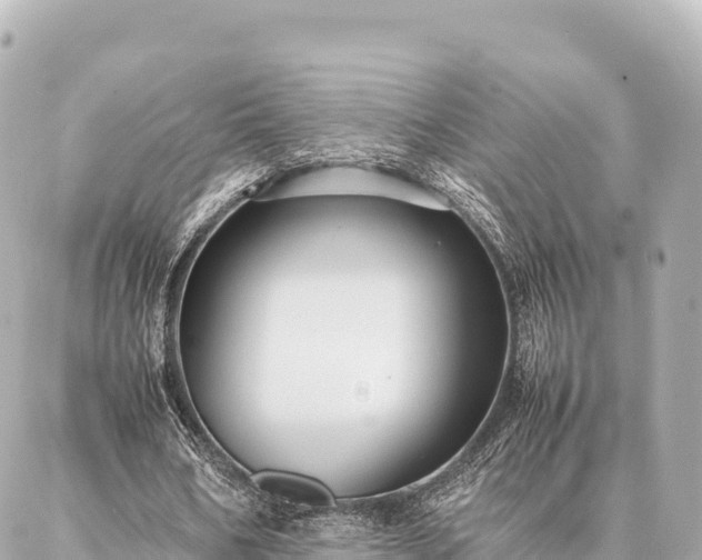 X0000087060578200704251031