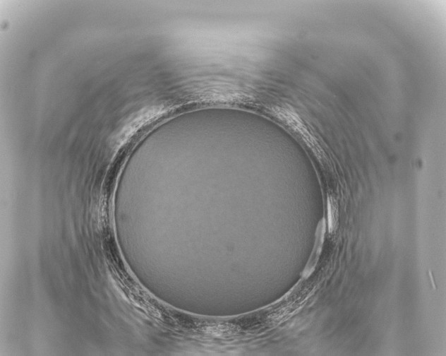 X0000087060579200704251031