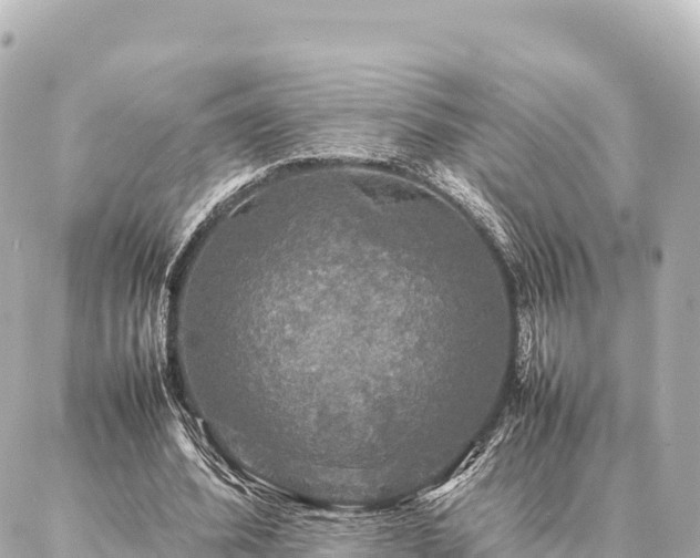 X0000087060580200704251031