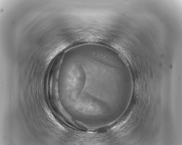 X0000087060581200704251031